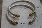 Nova Bangle